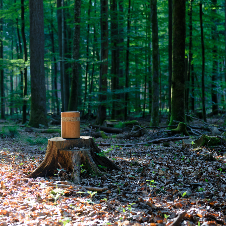 Waldbestattung in Urne